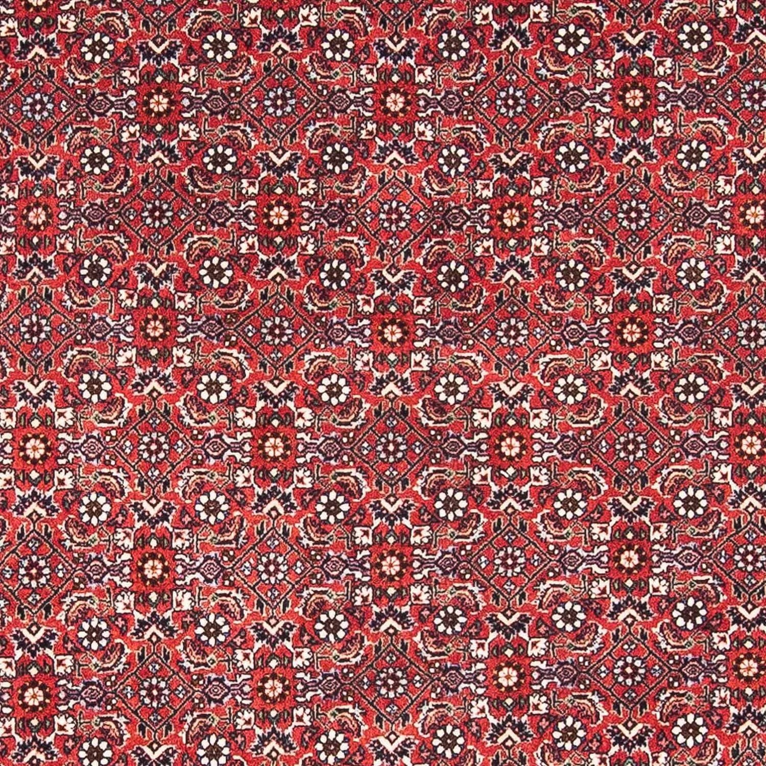 Persisk tæppe - Bijar - 174 x 111 cm - rød