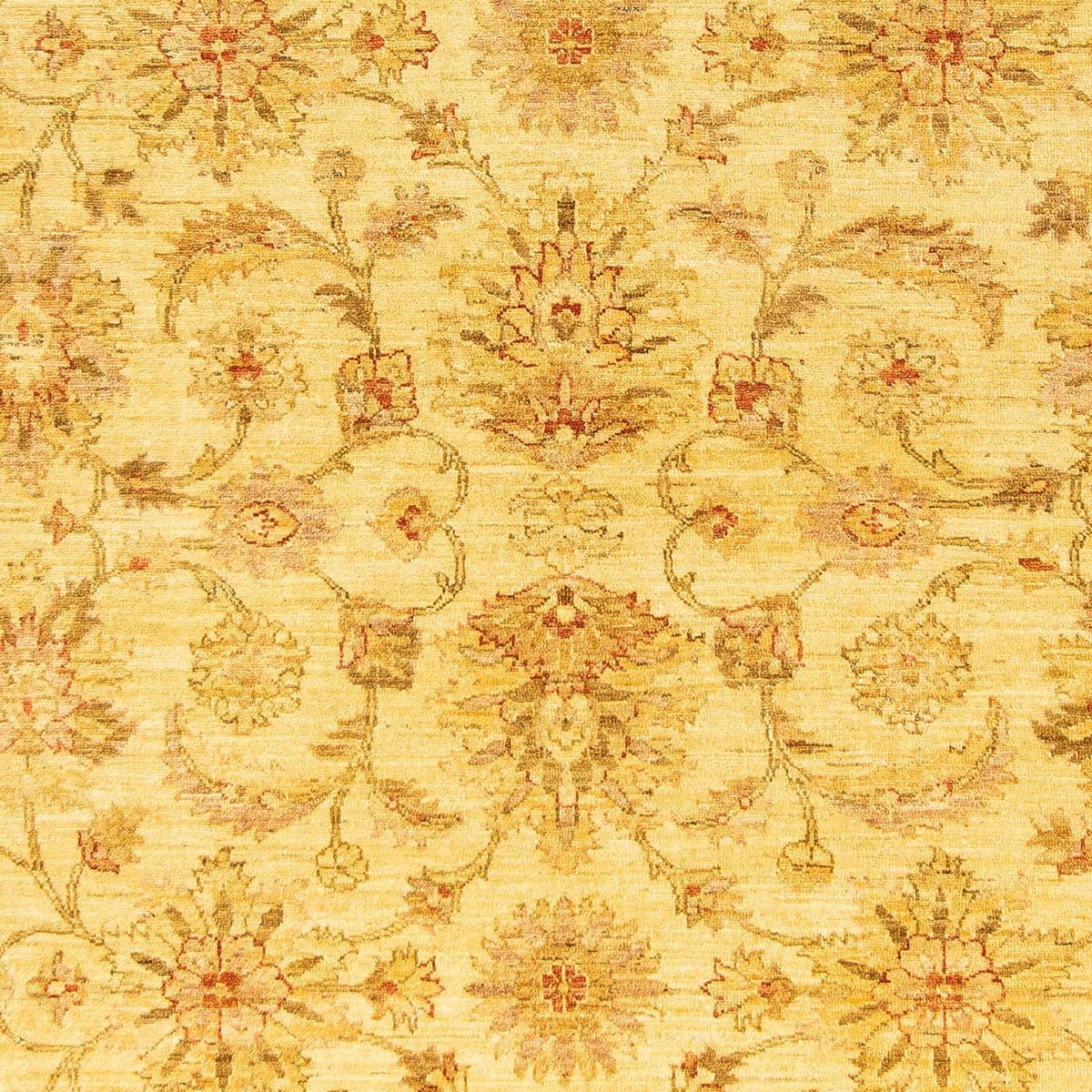 Ziegler Carpet - 259 x 196 cm - beige