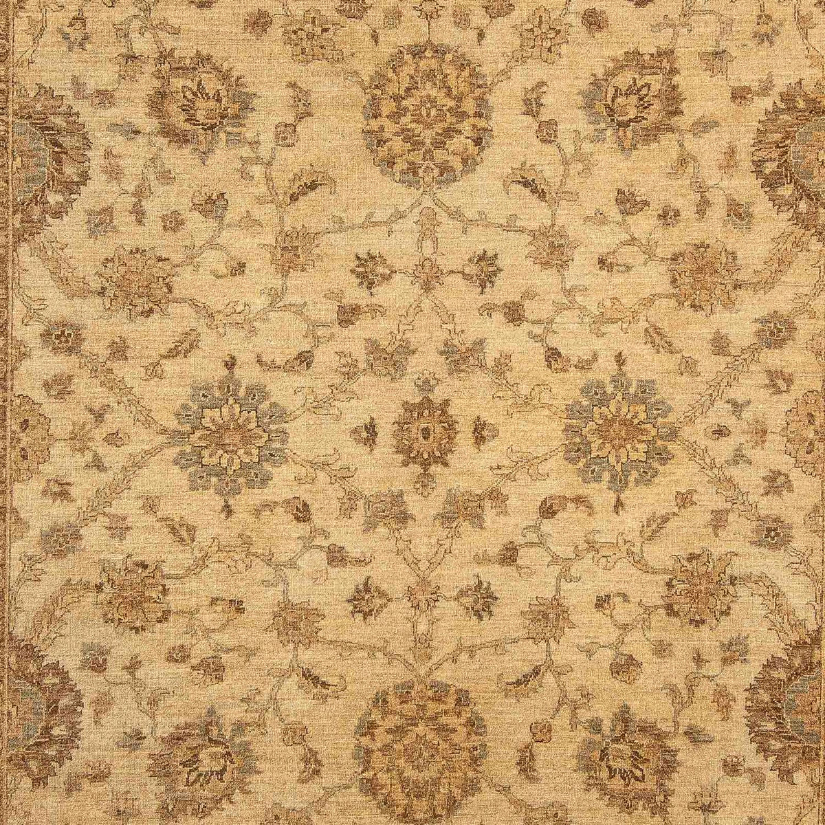 Ziegler Carpet - 323 x 244 cm - lys brun