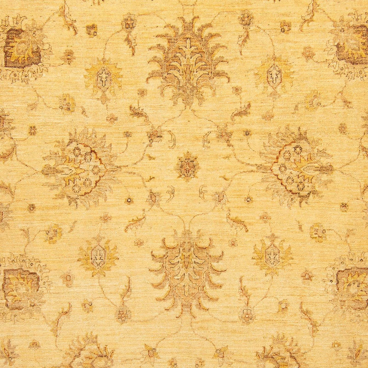 Ziegler Carpet - 368 x 254 cm - beige