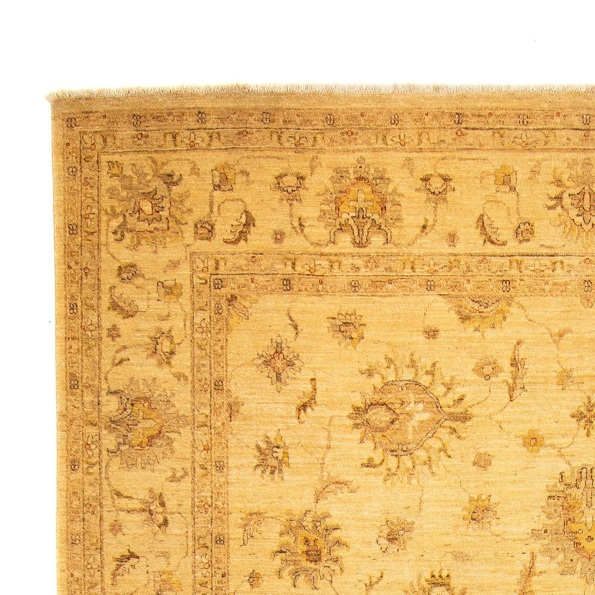 Ziegler Carpet - 368 x 254 cm - beige