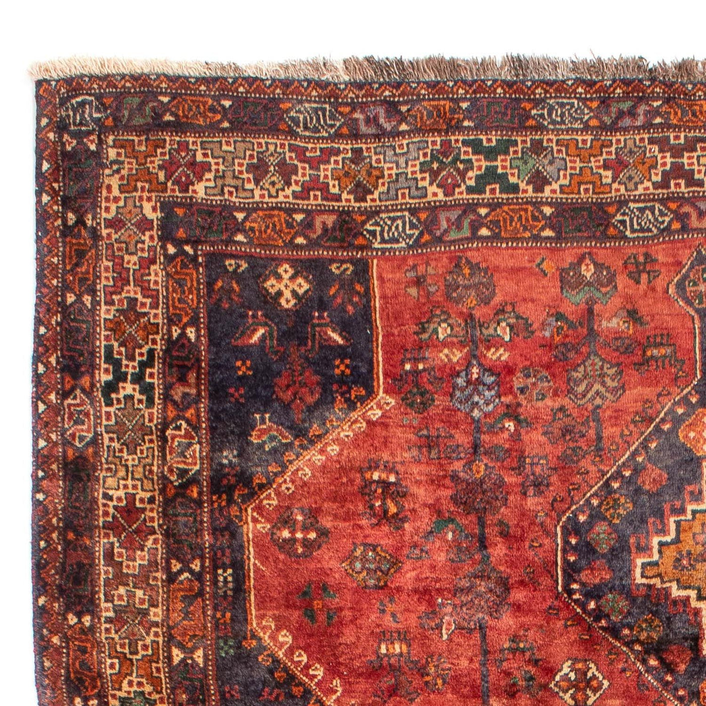 Shiraz Tæppe 306x212cm - Persisk tæppe