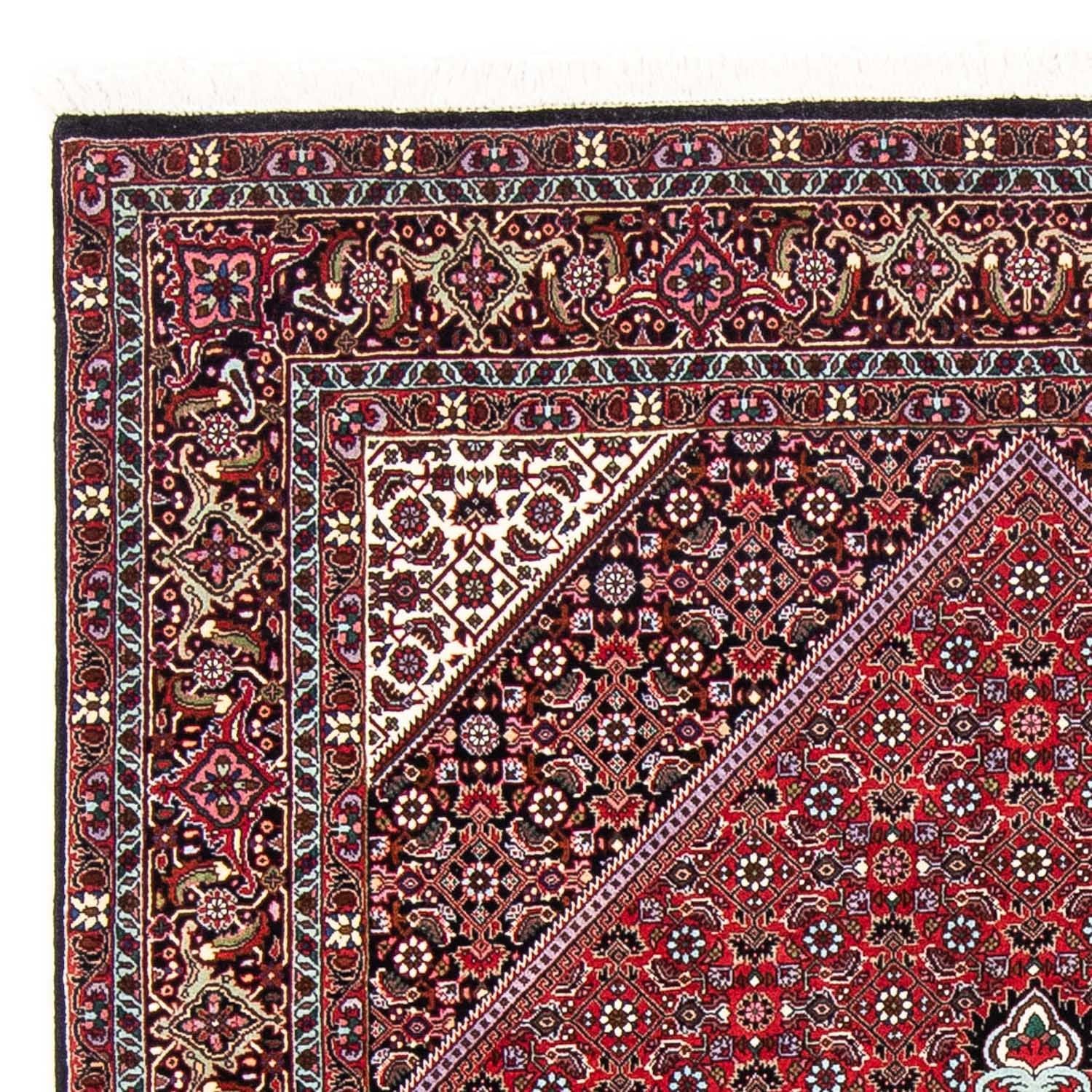 Persisk tæppe - Bijar - 250 x 149 cm - rød