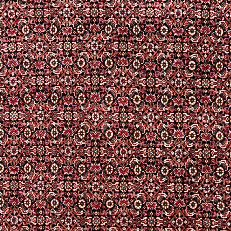 Persisk tæppe - Bijar - Royal - 345 x 246 cm - rød
