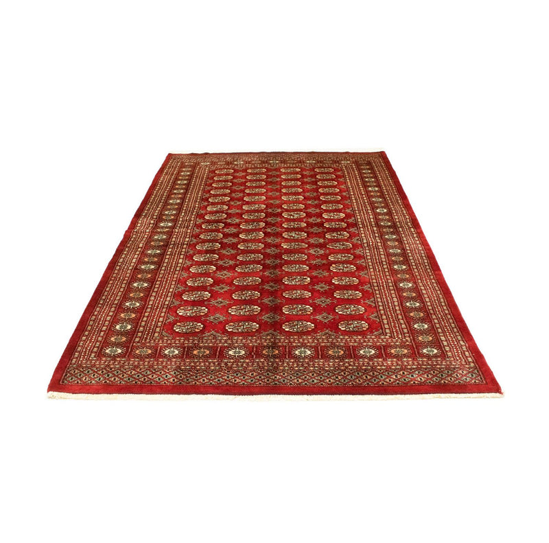 Afghansk tæppe - Bukhara - 223 x 149 cm - rød