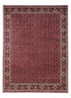 Bidjar - Takab Tæppe 349x250cm - Persisk tæppe