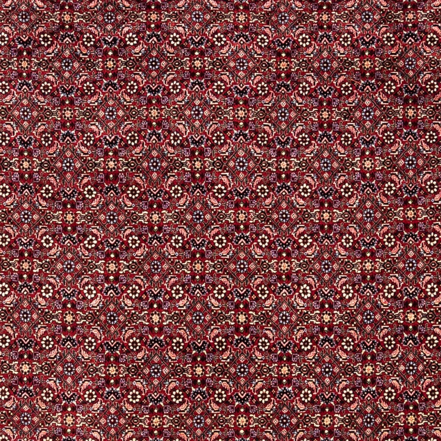 Persisk tæppe - Bijar - Royal - 349 x 250 cm - rød