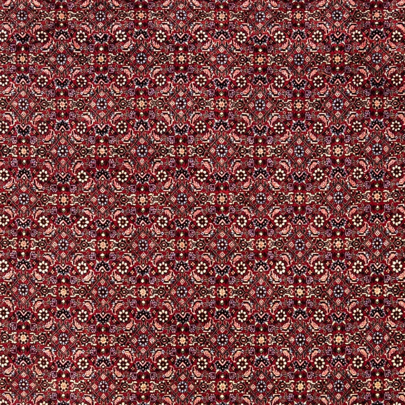 Persisk tæppe - Bijar - Royal - 349 x 250 cm - rød