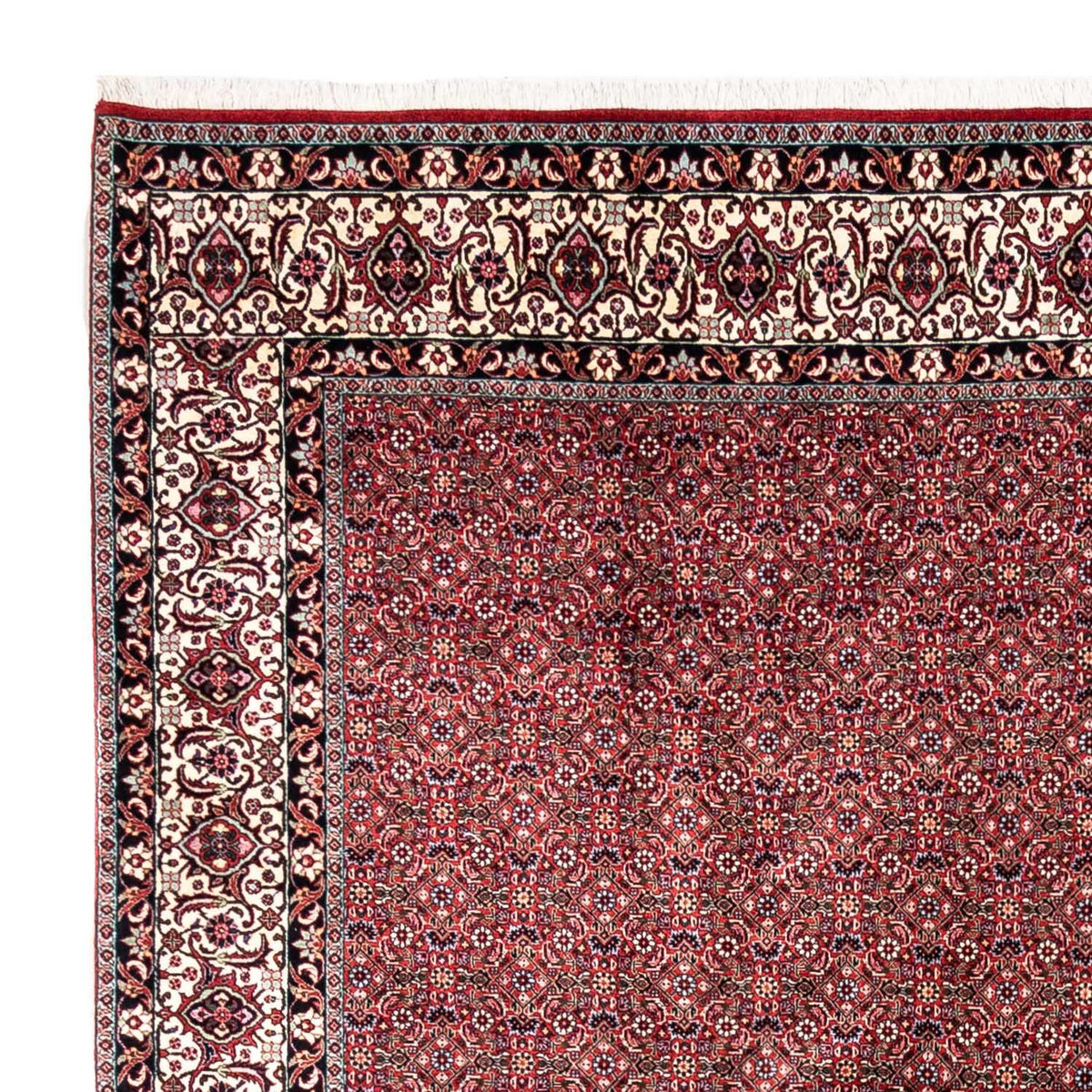 Bidjar - Takab Tæppe 255x335cm - Persisk tæppe
