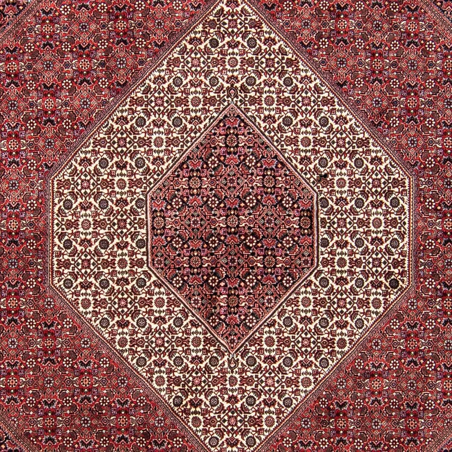 Persisk tæppe - Bijar - 293 x 248 cm - lysrød
