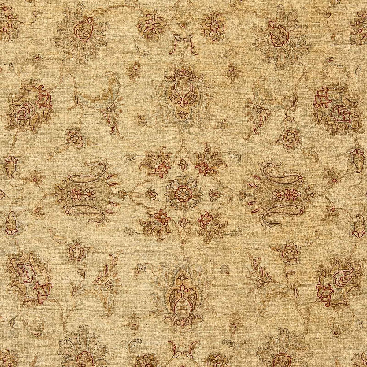 Ziegler Carpet - 315 x 246 cm - lys brun