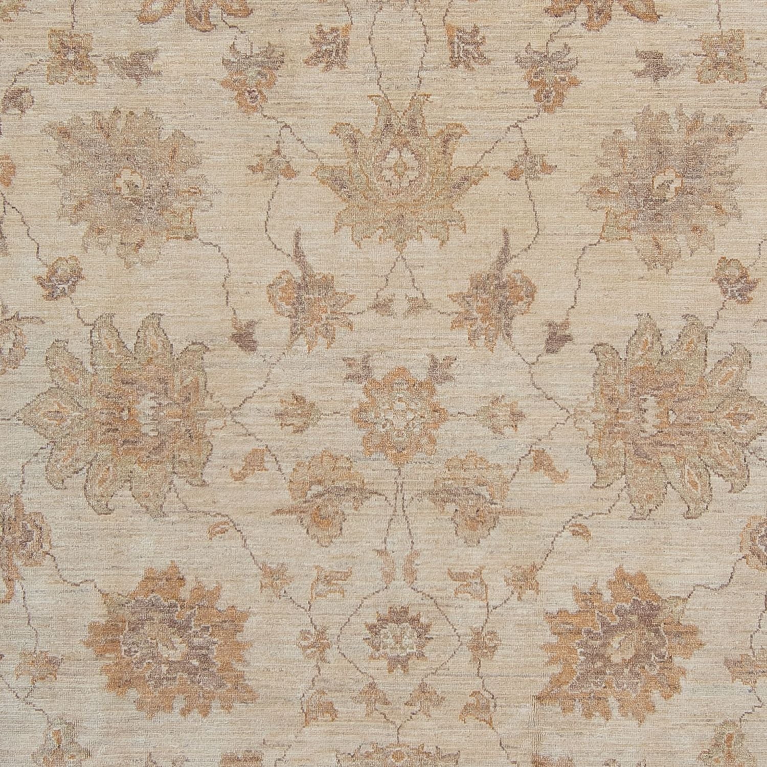 Ziegler Carpet - 337 x 249 cm - lys beige