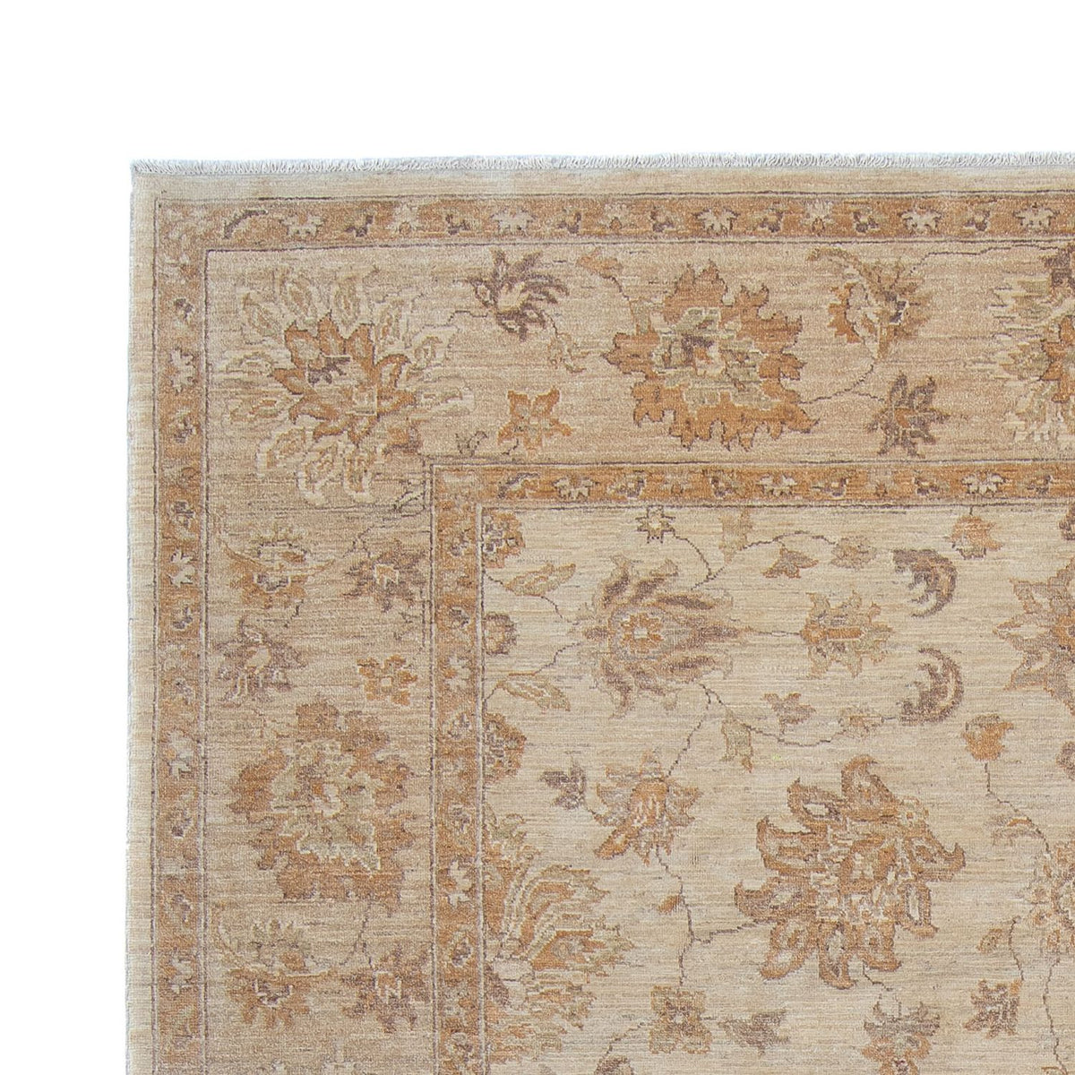Ziegler Carpet - 337 x 249 cm - lys beige