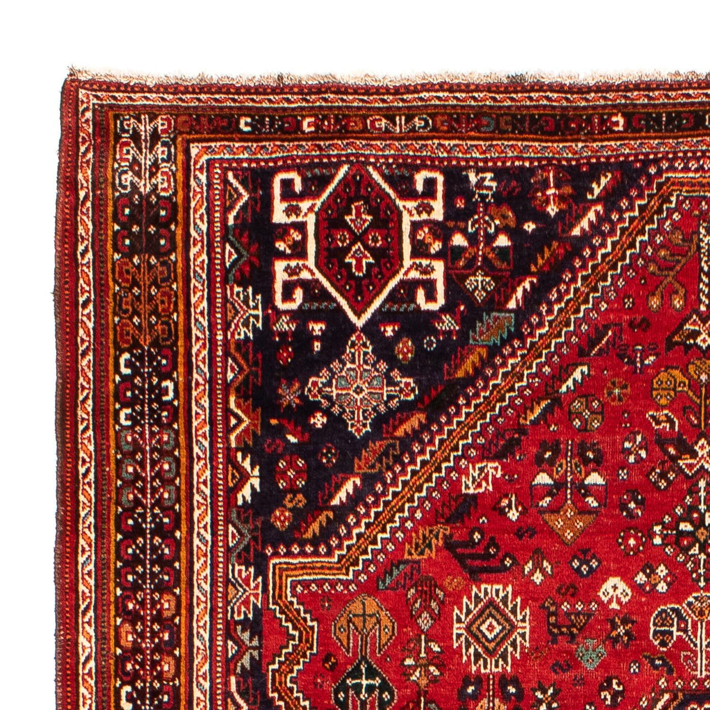 Shiraz Tæppe 298x189cm - Persisk tæppe