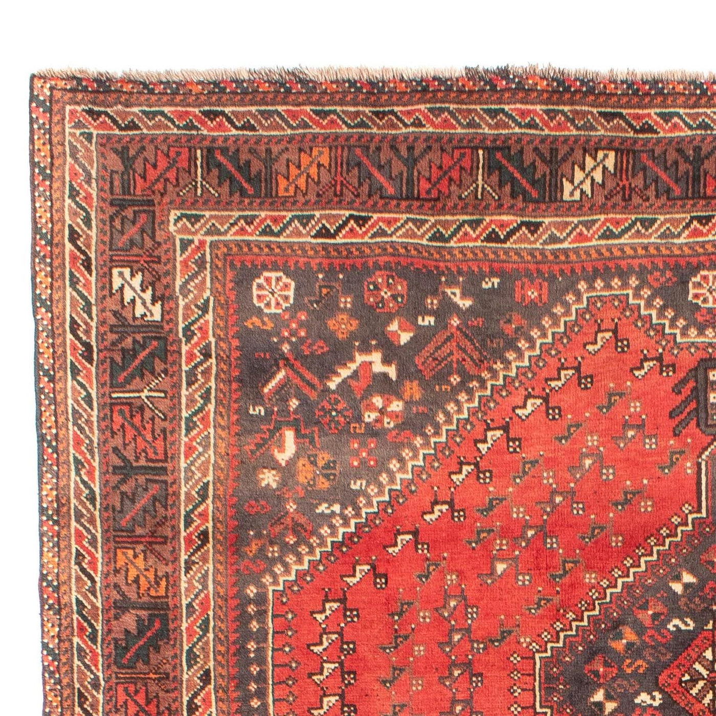 Shiraz Tæppe 279x203cm - Persisk tæppe