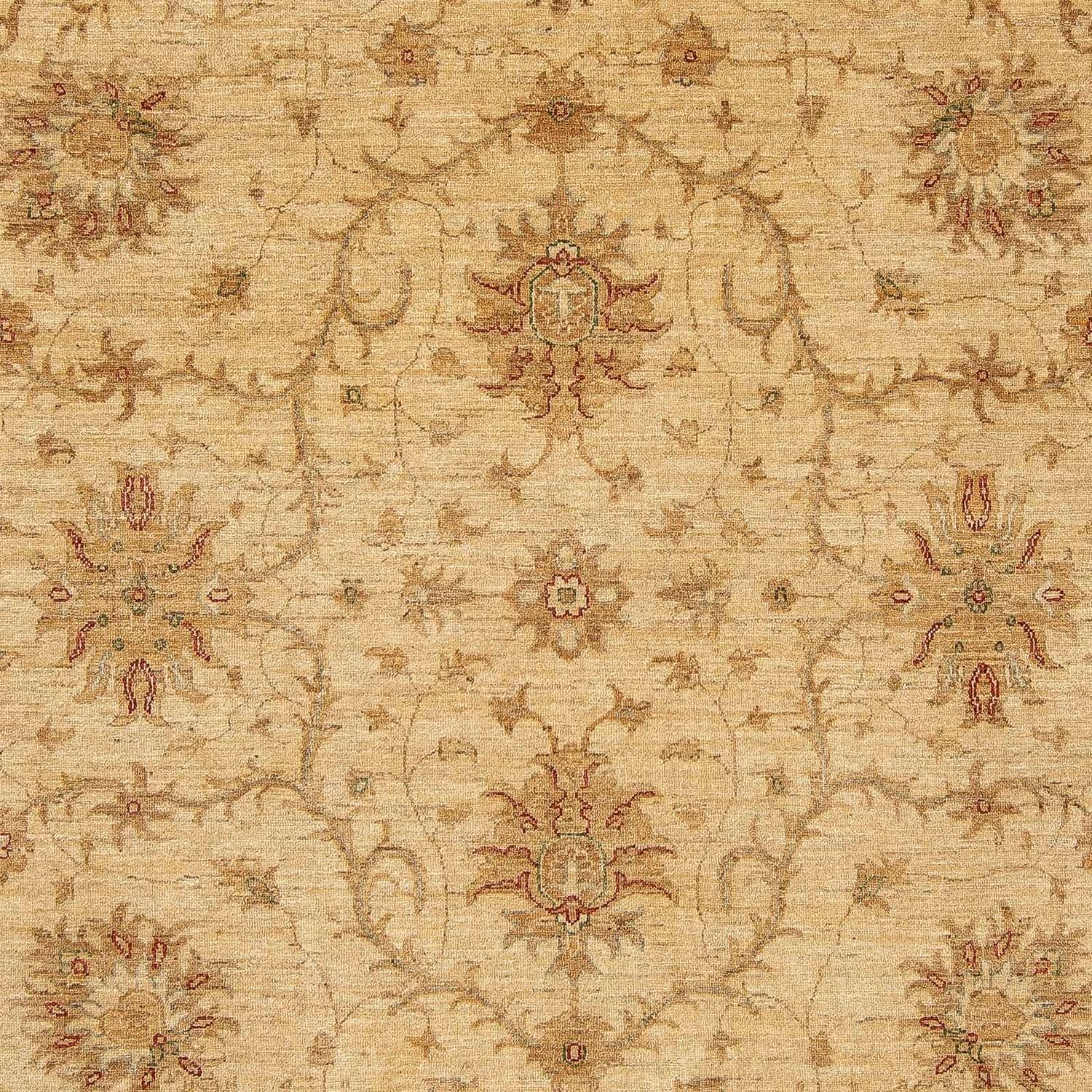 Ziegler Carpet - 296 x 245 cm - lys brun