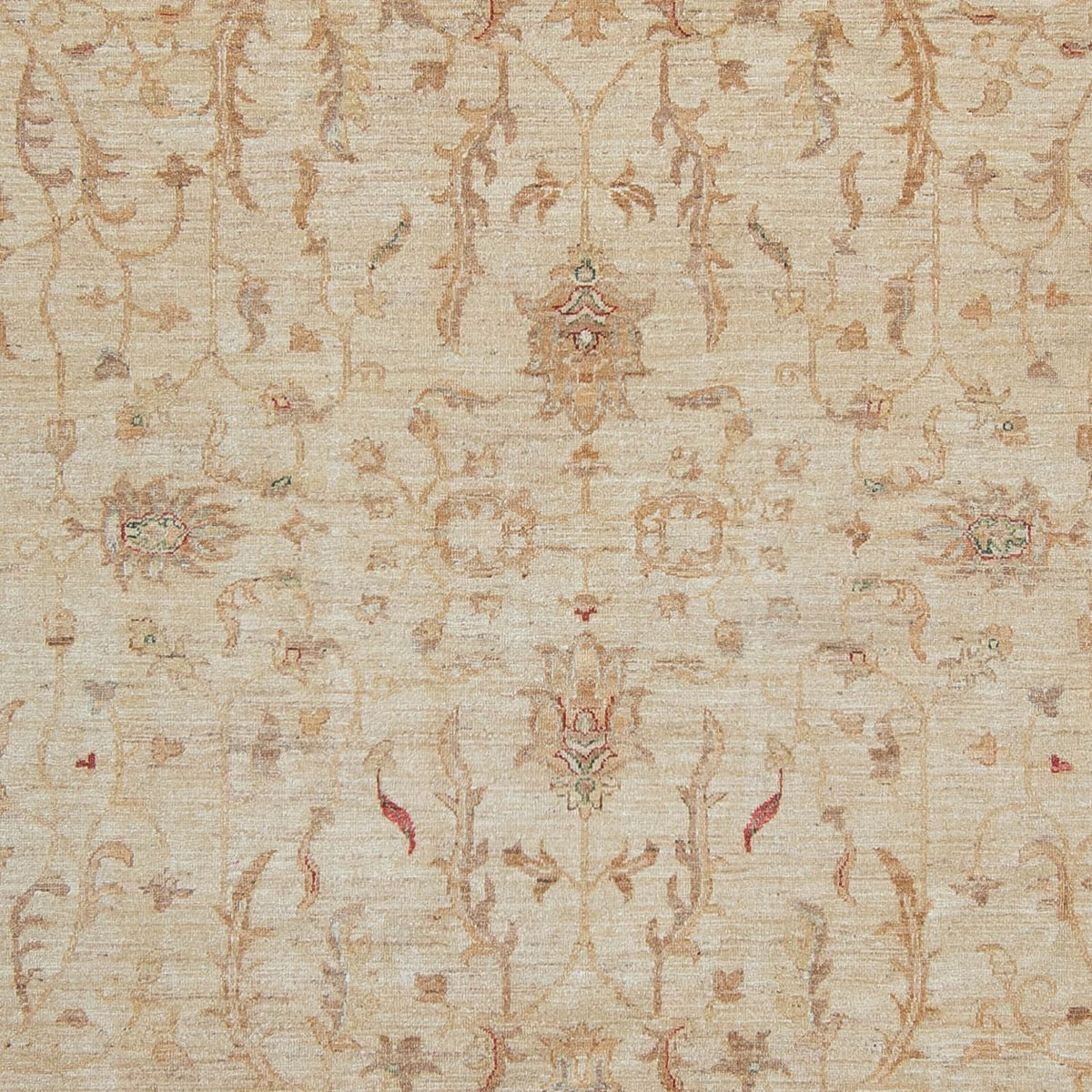 Ziegler Carpet - 347 x 245 cm - lys beige
