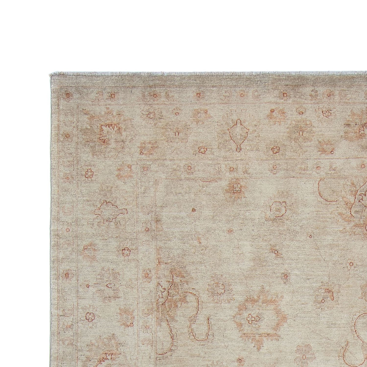 Ziegler Carpet - 382 x 237 cm - beige