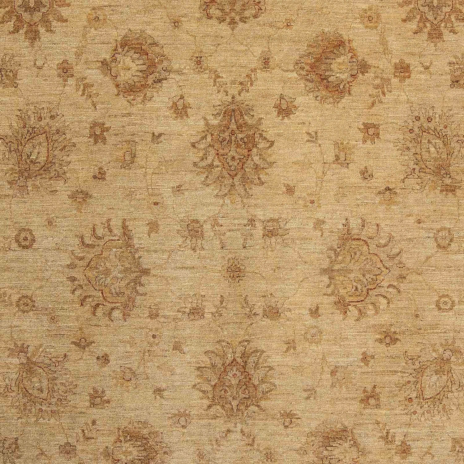 Ziegler Carpet - 290 x 246 cm - lys brun