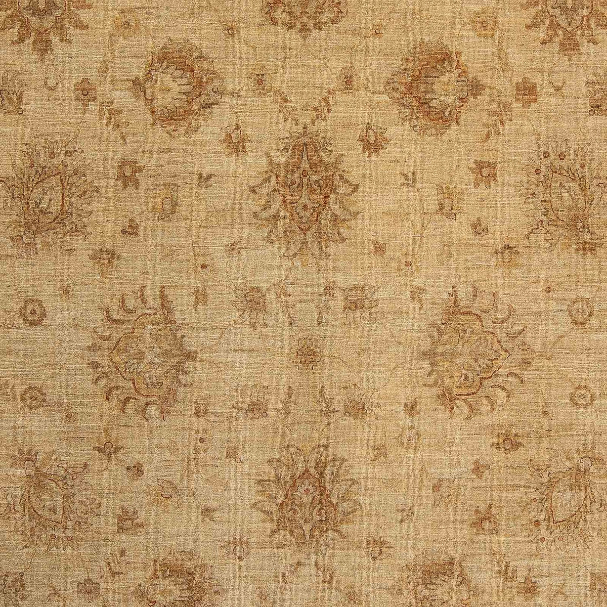 Ziegler Carpet - 290 x 246 cm - lys brun