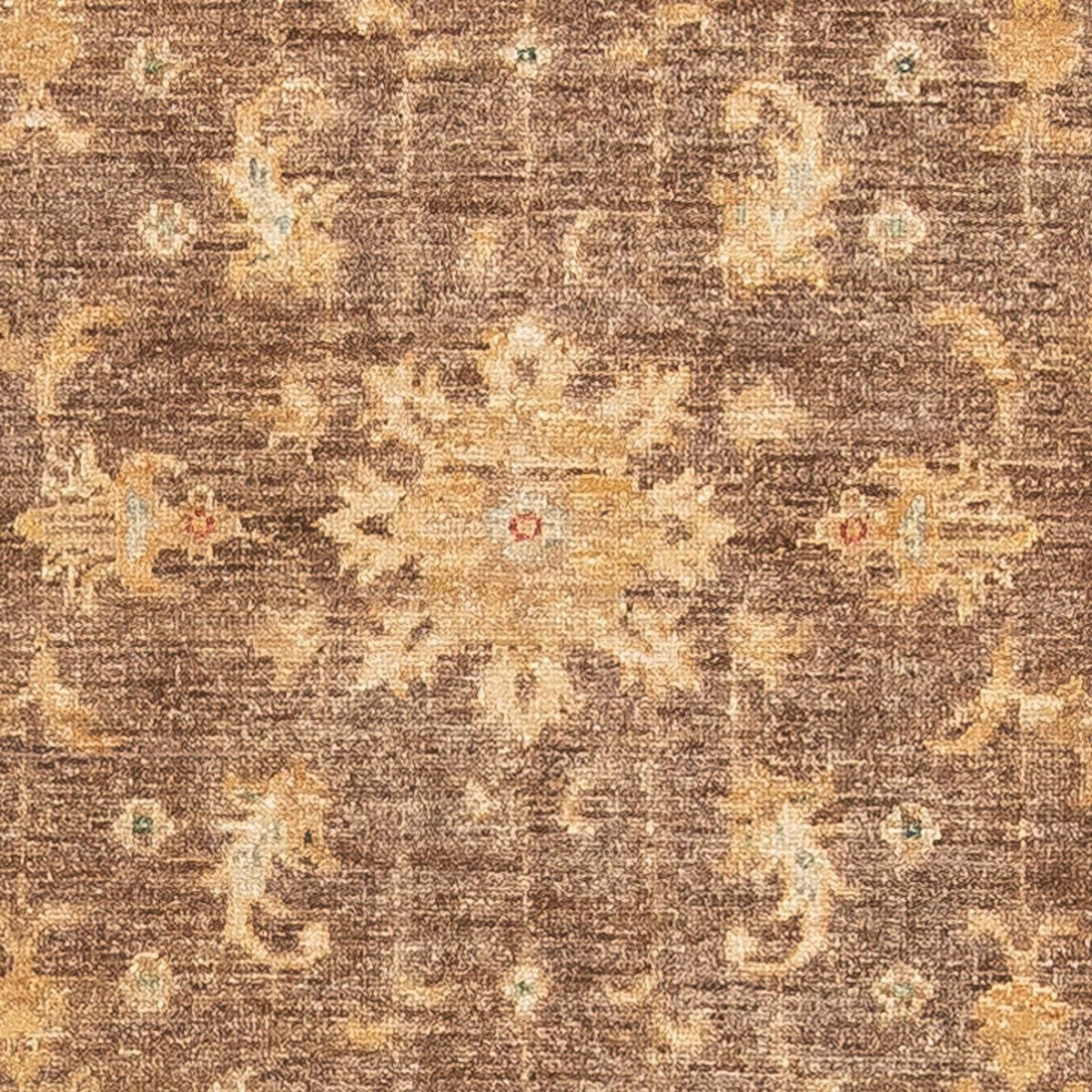 Løber Ziegler Carpet - 295 x 82 cm - brun
