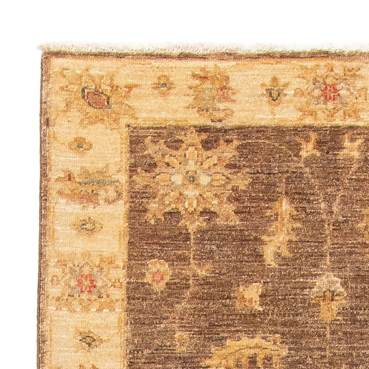 Løber Ziegler Carpet - 295 x 82 cm - brun