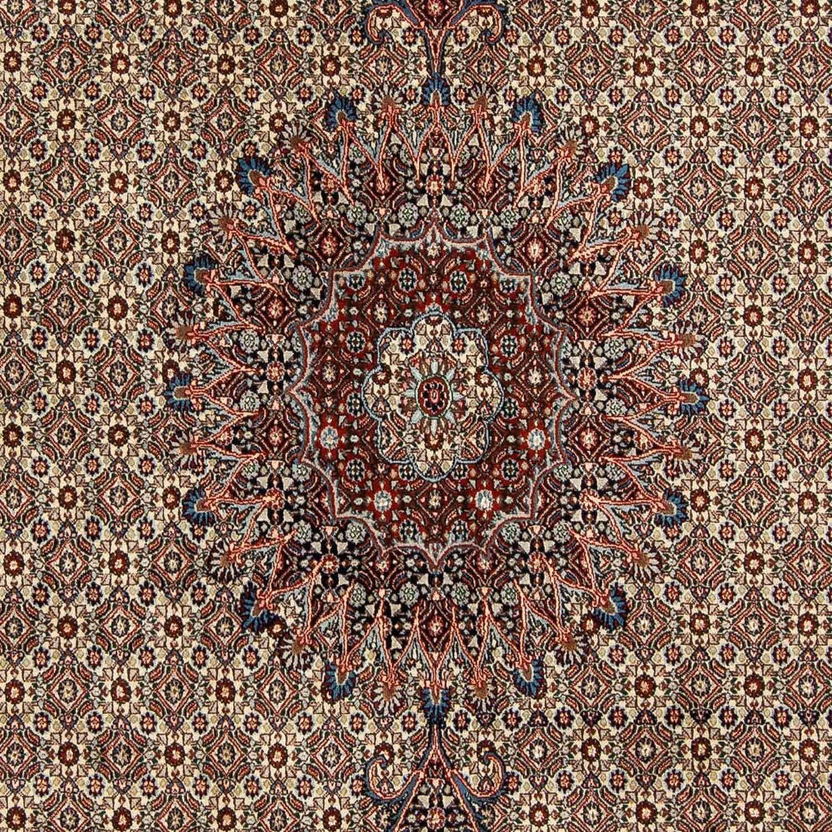 Persisk tæppe - Classic - 288 x 203 cm - beige