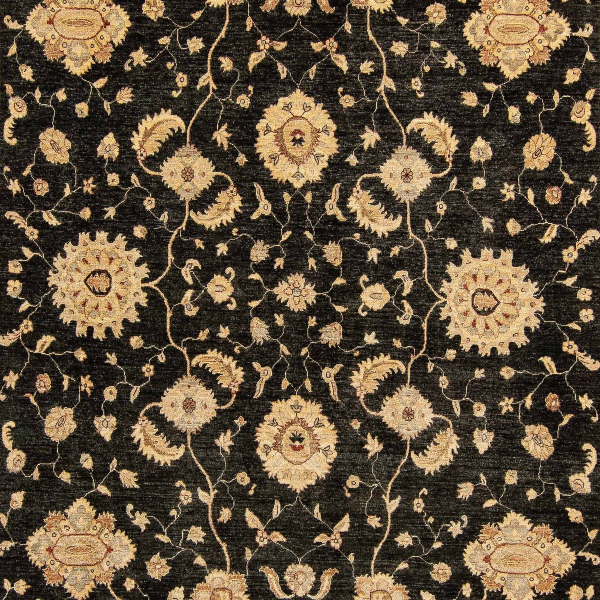 Ziegler Carpet - 424 x 293 cm - mørkeblå