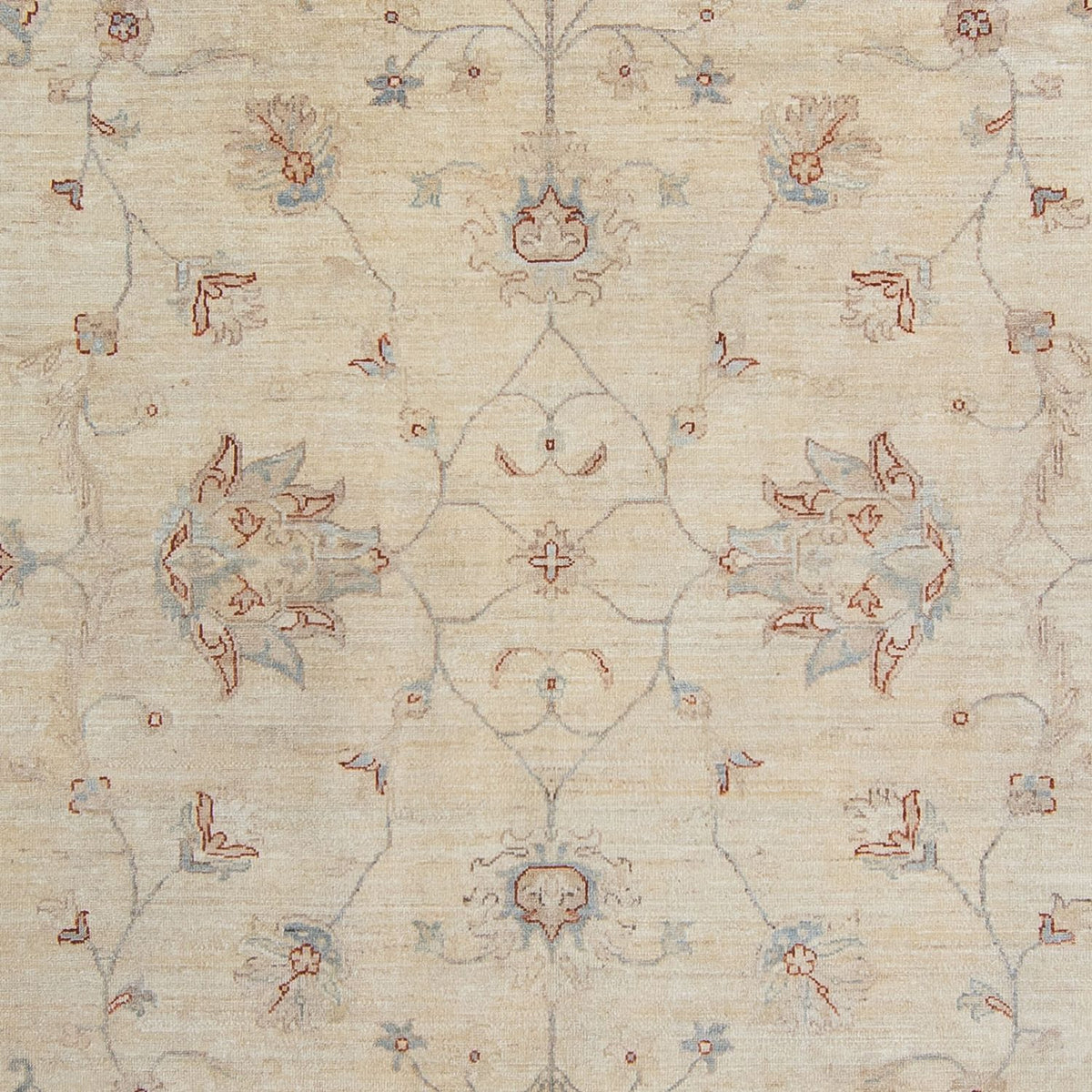 Ziegler Carpet - 347 x 250 cm - lys beige