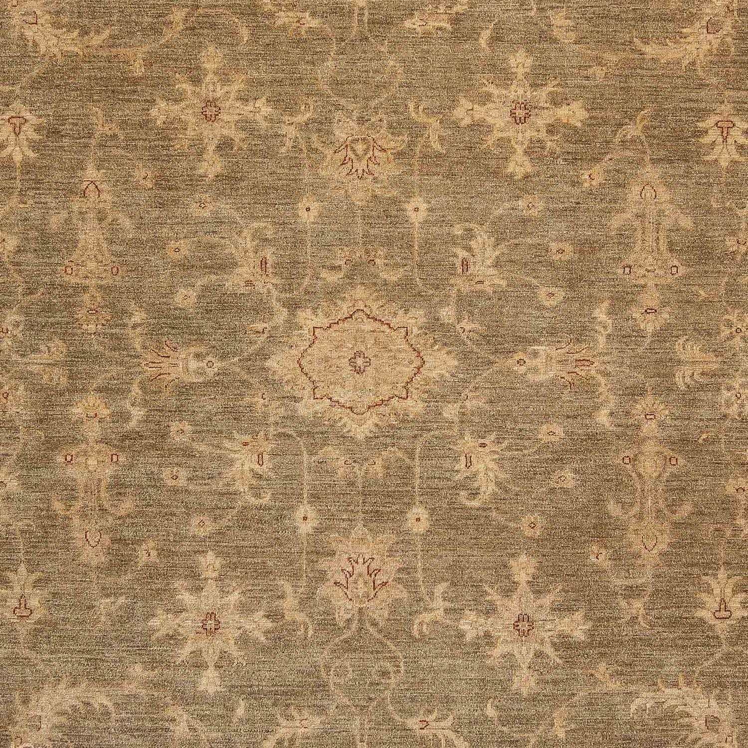 Ziegler Carpet - 353 x 248 cm - lys brun