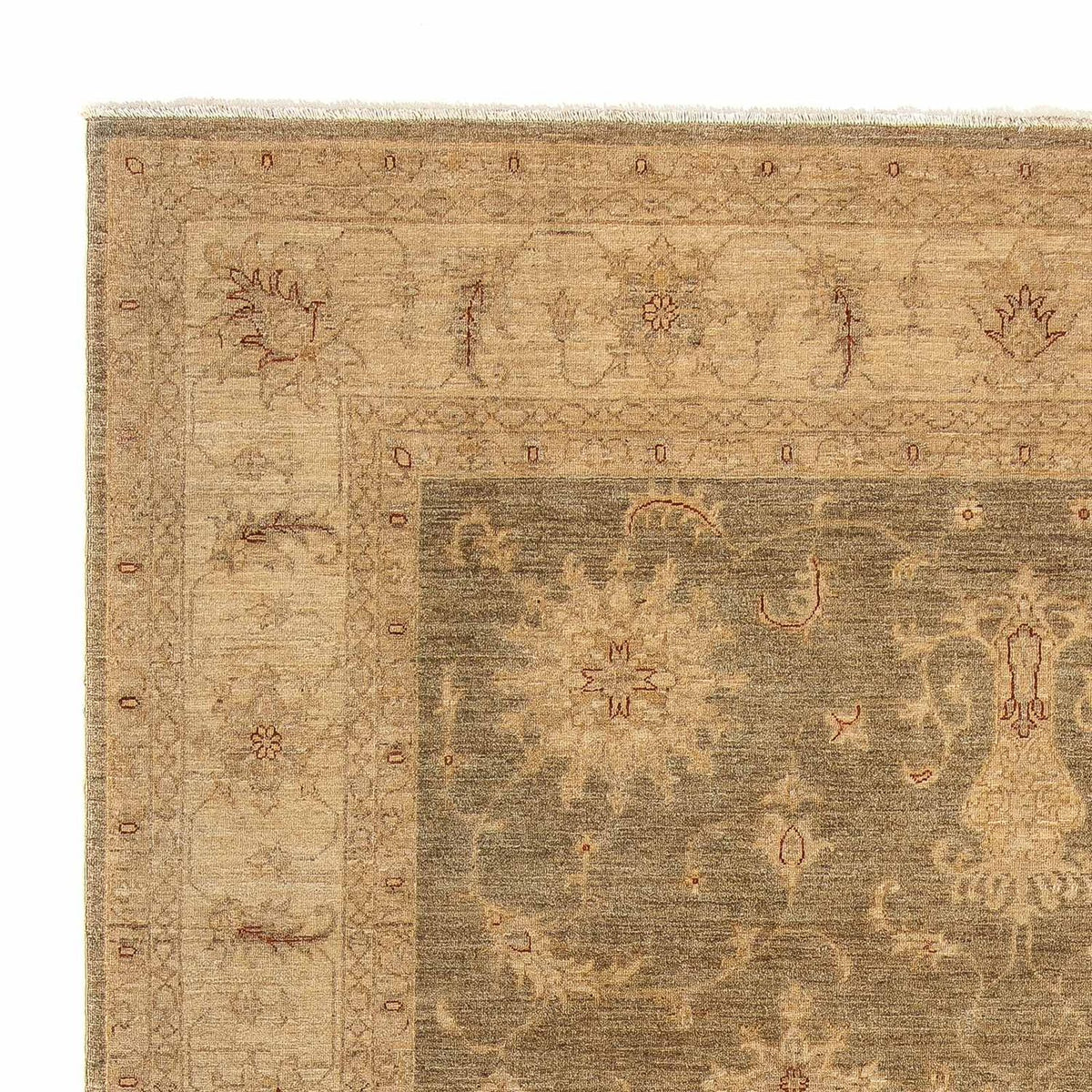 Ziegler Carpet - 353 x 248 cm - lys brun