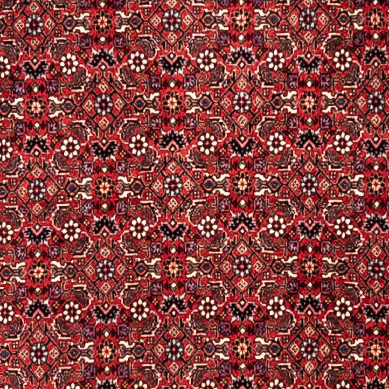 Persisk tæppe - Bijar - Royal - 345 x 253 cm - rød