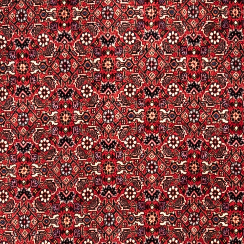 Persisk tæppe - Bijar - Royal - 345 x 253 cm - rød