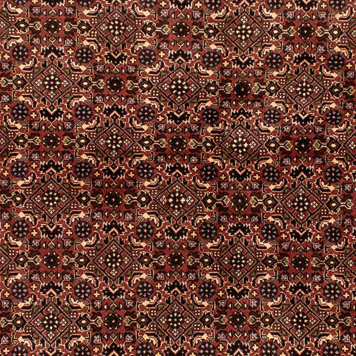 Persisk tæppe - Bijar - 214 x 136 cm - brun