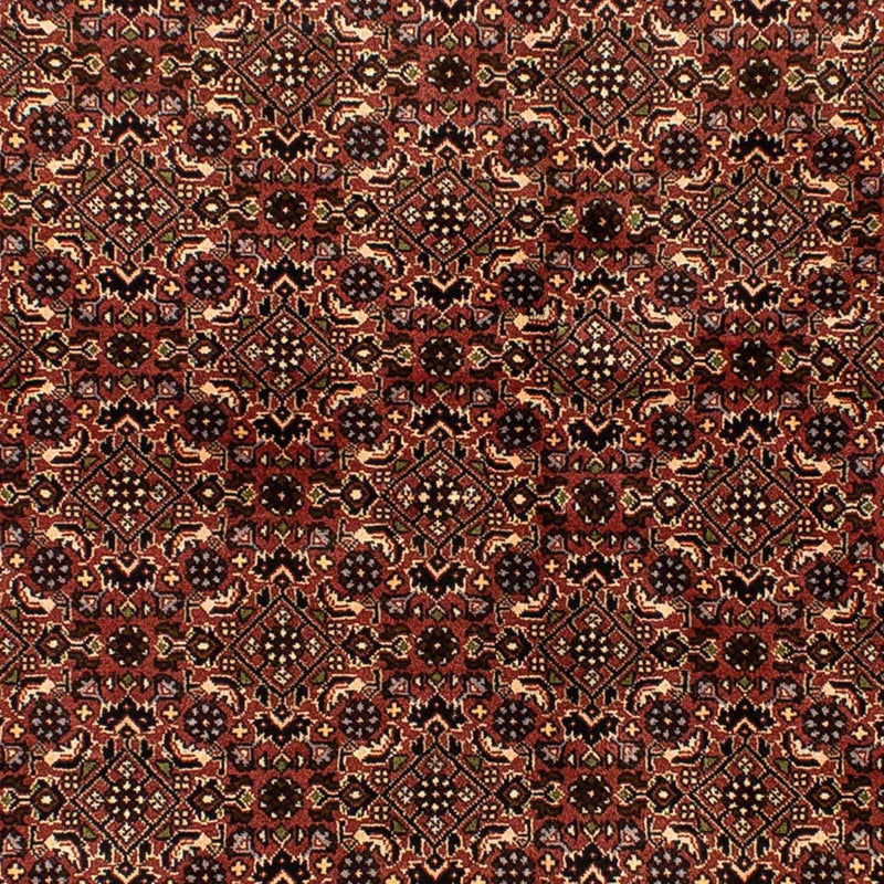 Persisk tæppe - Bijar - 214 x 136 cm - brun