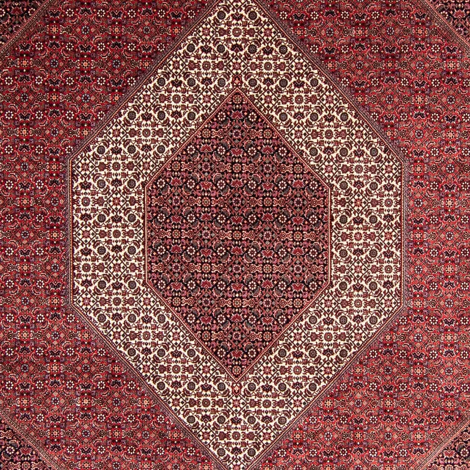 Persisk tæppe - Bijar - 351 x 254 cm - lysrød