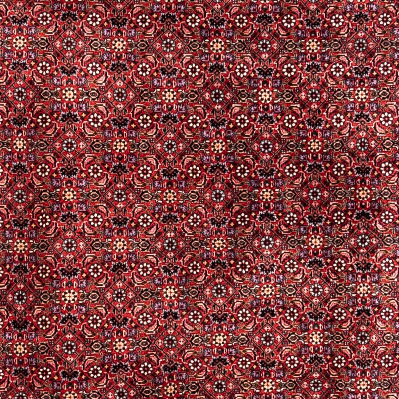 Persisk tæppe - Bijar - Royal - 338 x 250 cm - rød