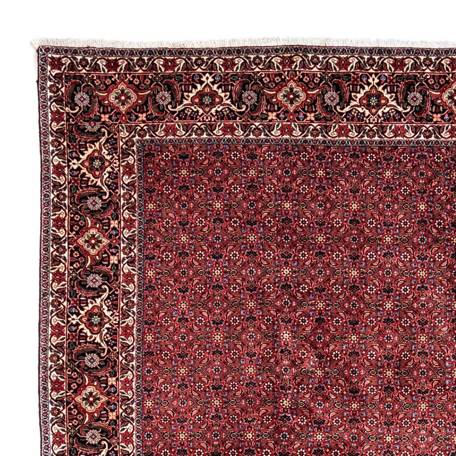 Persisk tæppe - Bijar - Royal - 338 x 250 cm - rød
