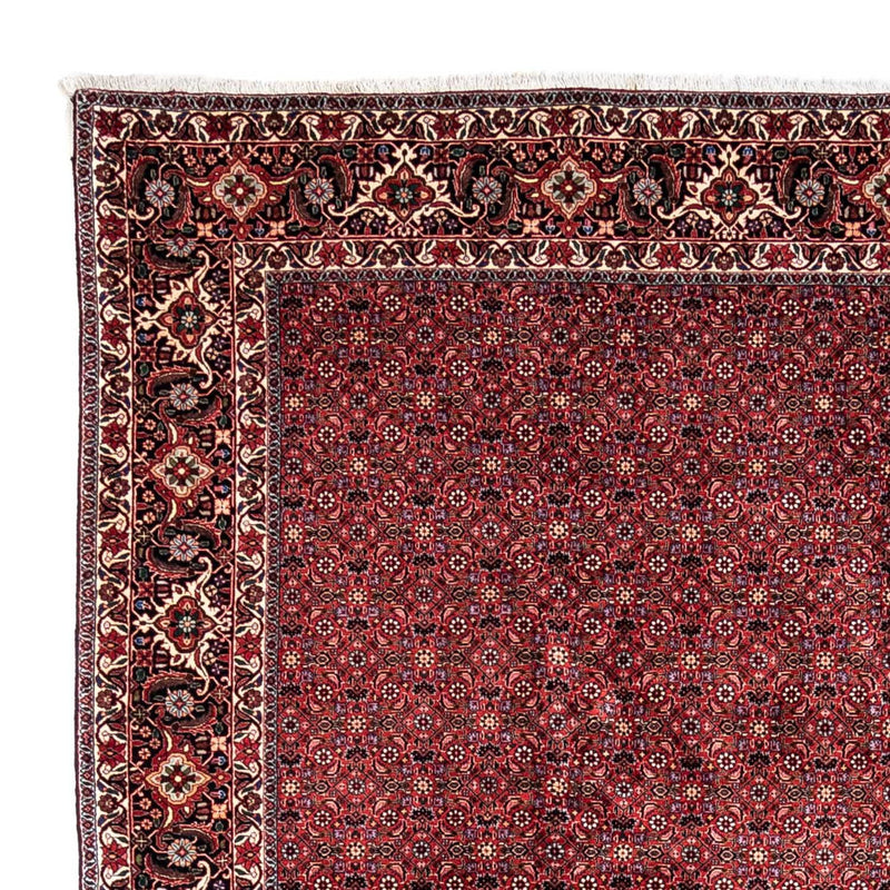 Persisk tæppe - Bijar - Royal - 338 x 250 cm - rød