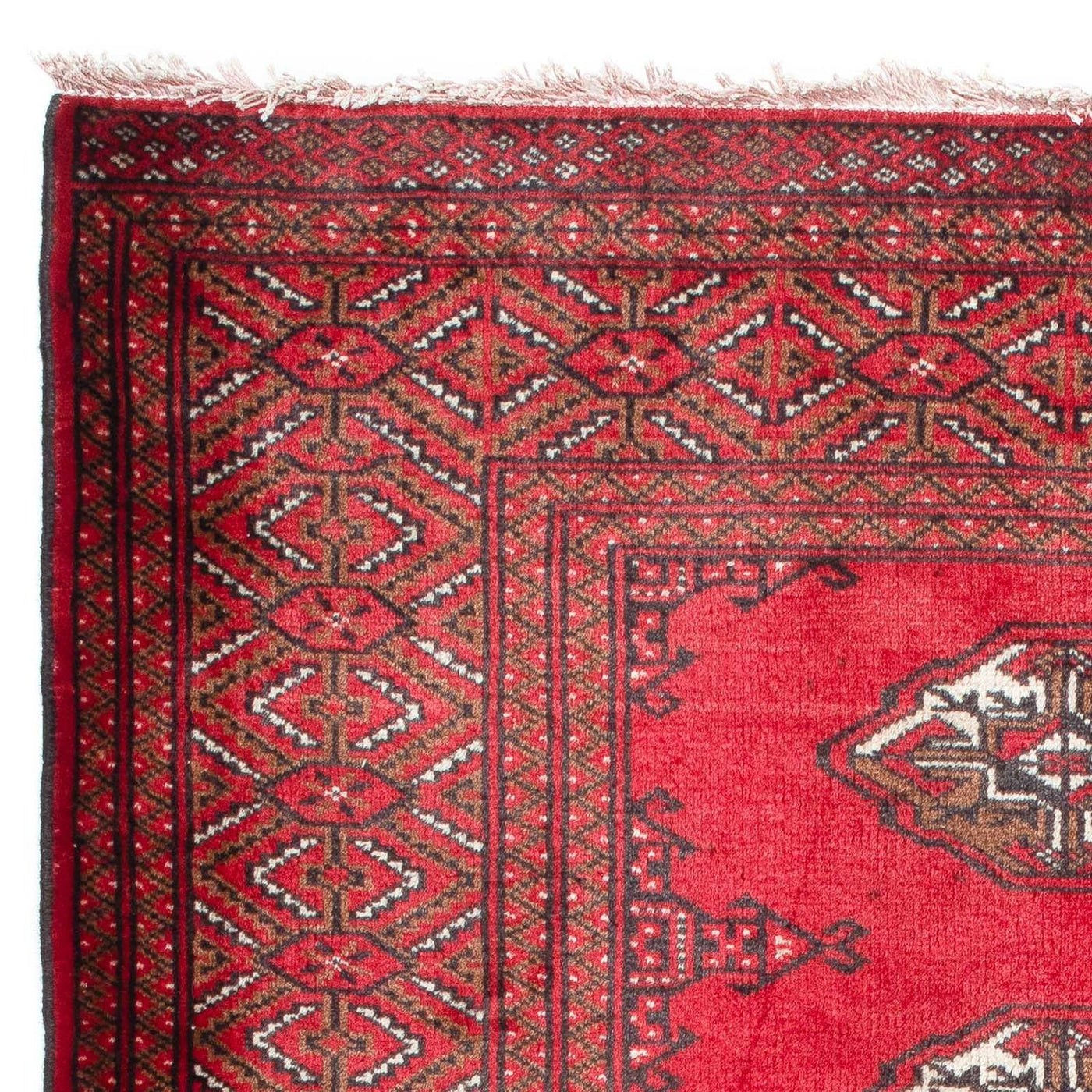 Baluch-tæppe 144x103cm - Orientalsk tæppe