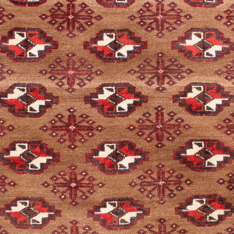 Baluch-tæppe - 154 x 98 cm - brun