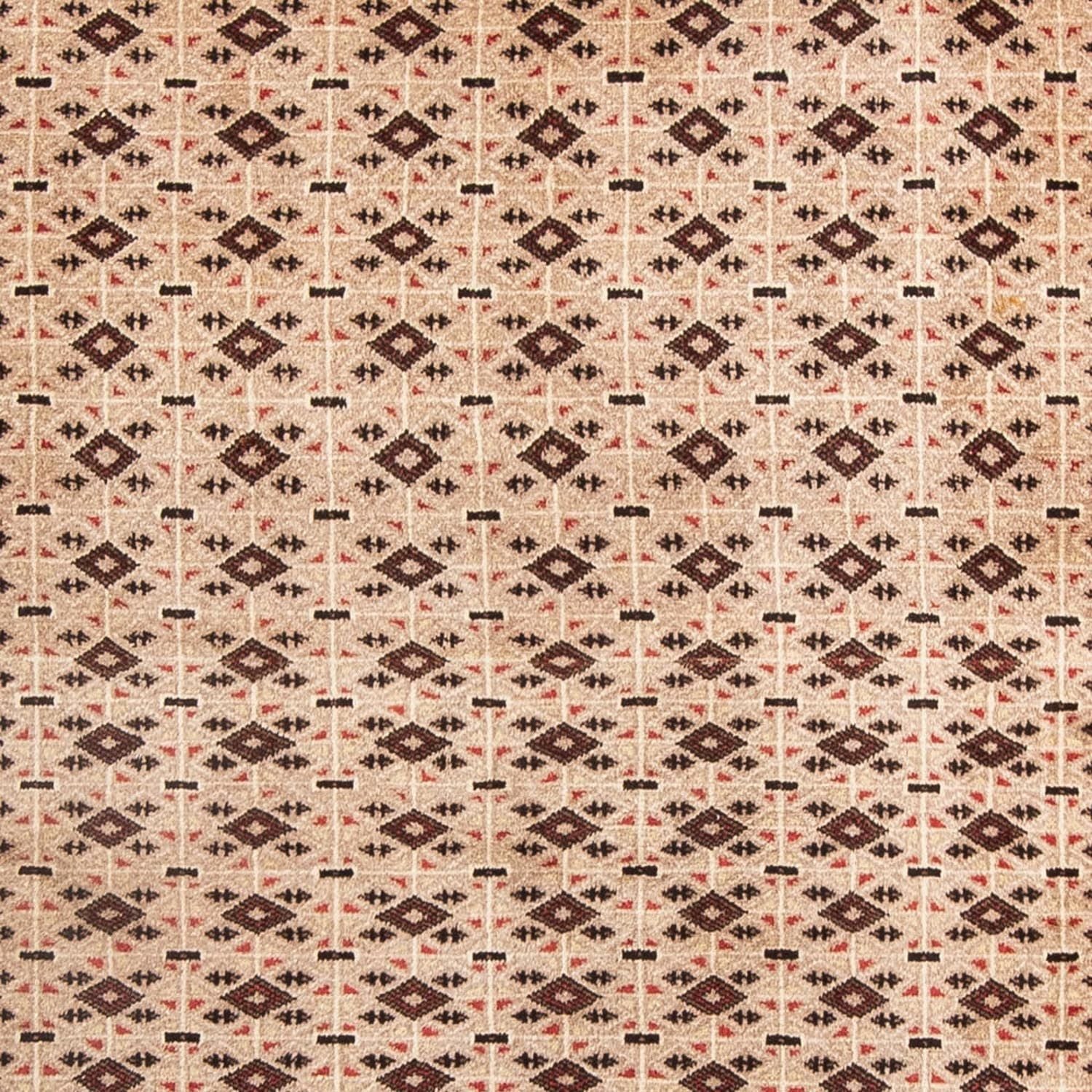 Baluch-tæppe - 181 x 134 cm - beige