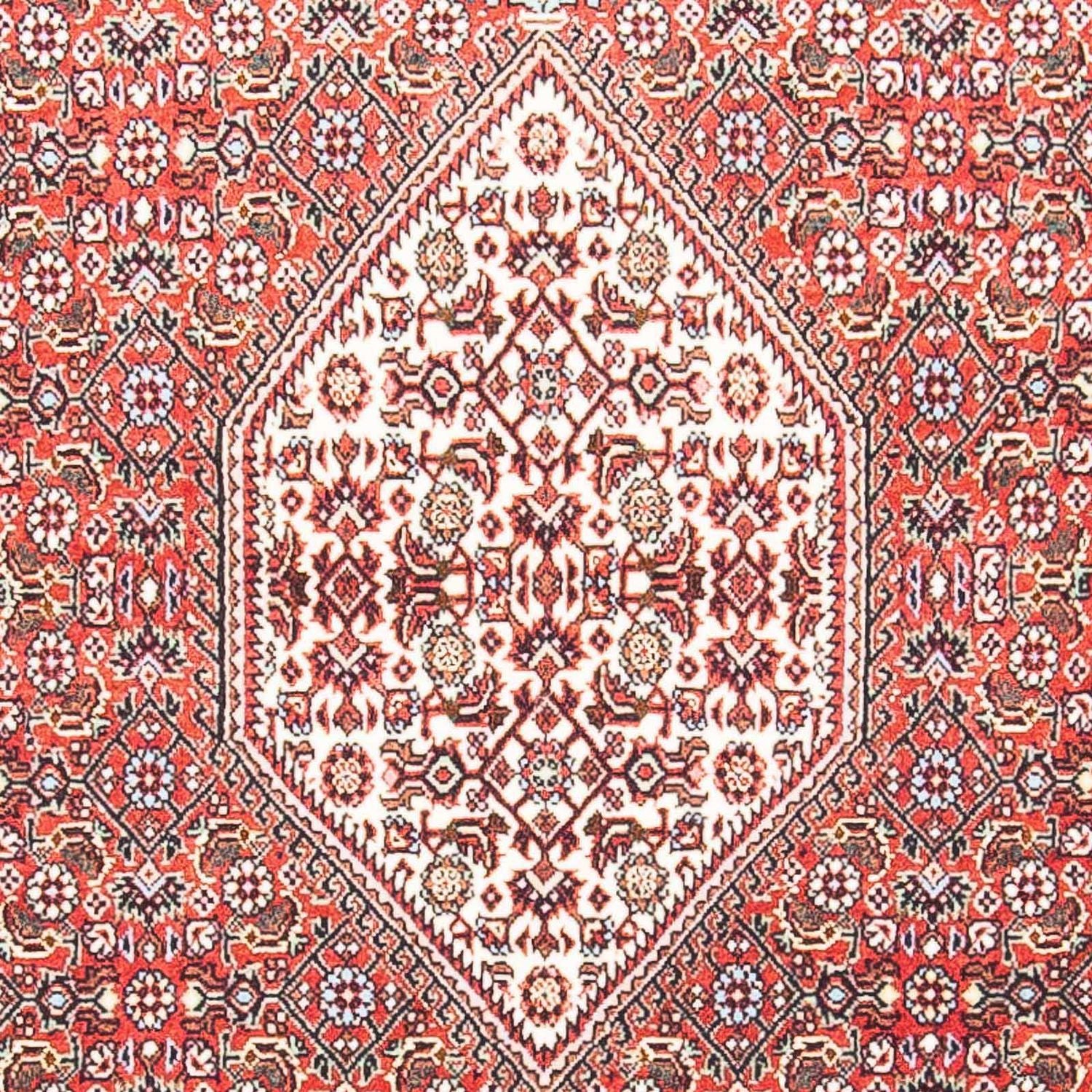 Persisk tæppe - Bijar - 156 x 88 cm - laks