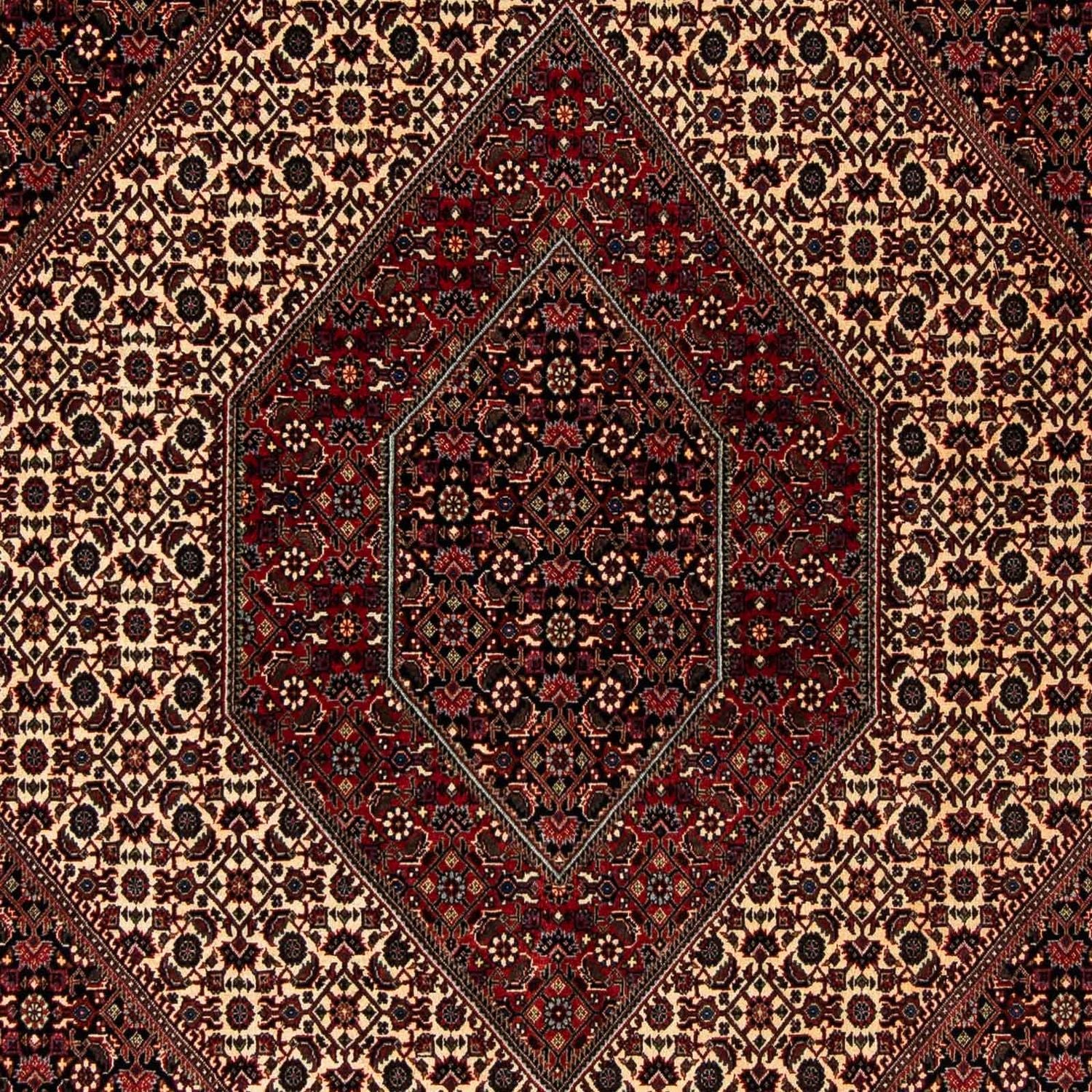 Persisk tæppe - Bijar - 248 x 202 cm - mørkerød