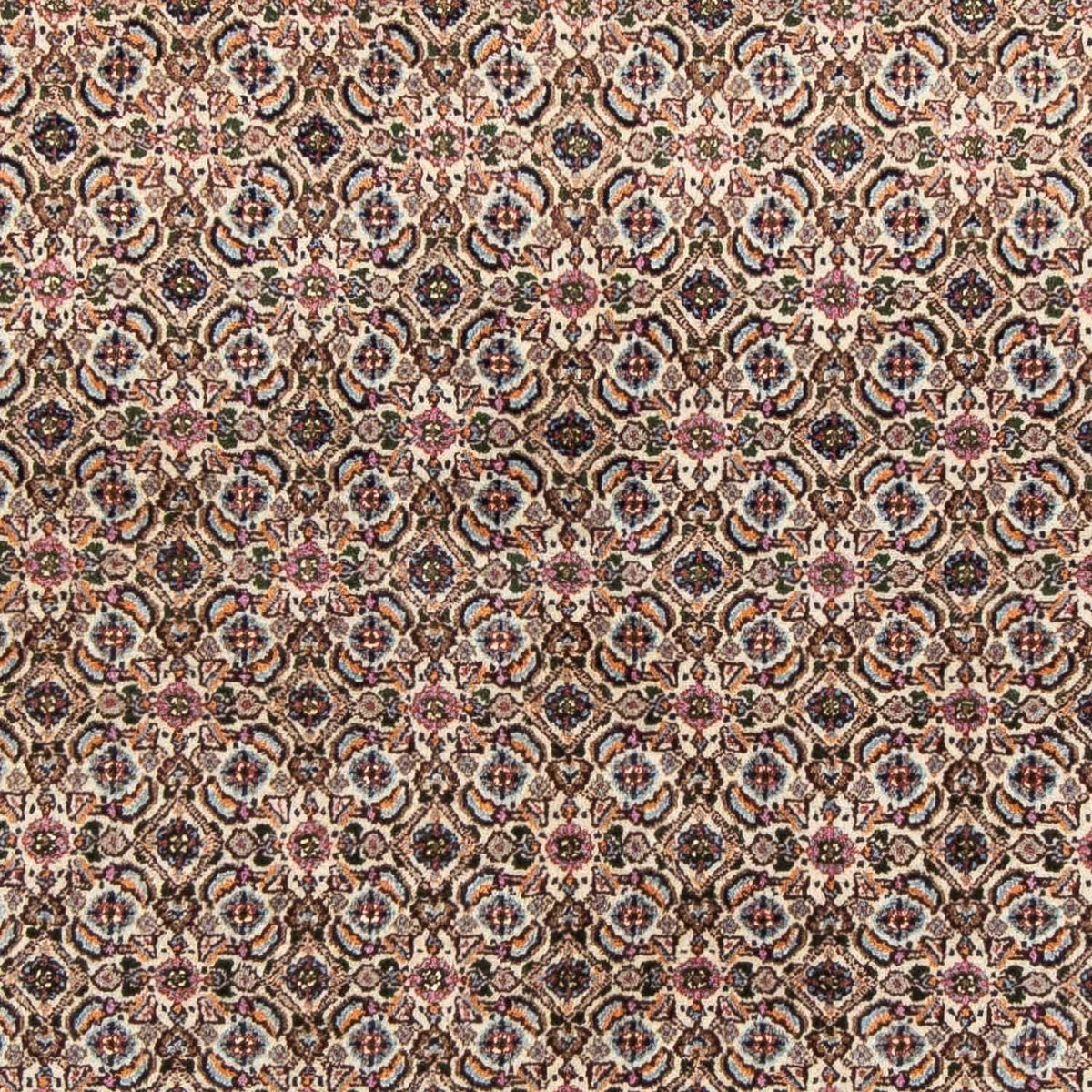 Persisk tæppe - Classic - 237 x 157 cm - beige