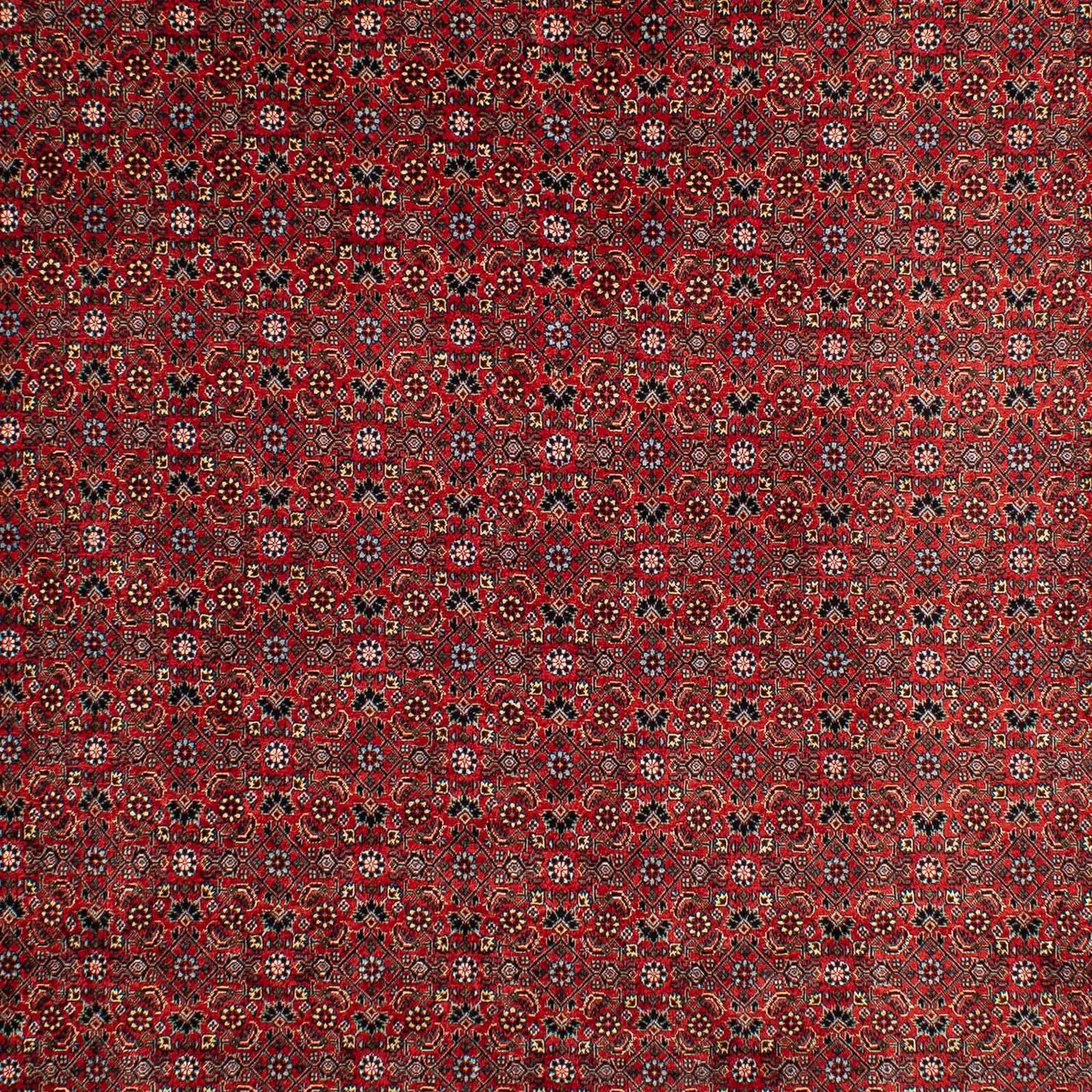 Persisk tæppe - Bijar - 295 x 203 cm - mørkerød