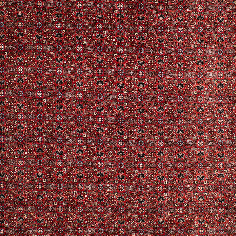 Persisk tæppe - Bijar - 295 x 203 cm - mørkerød