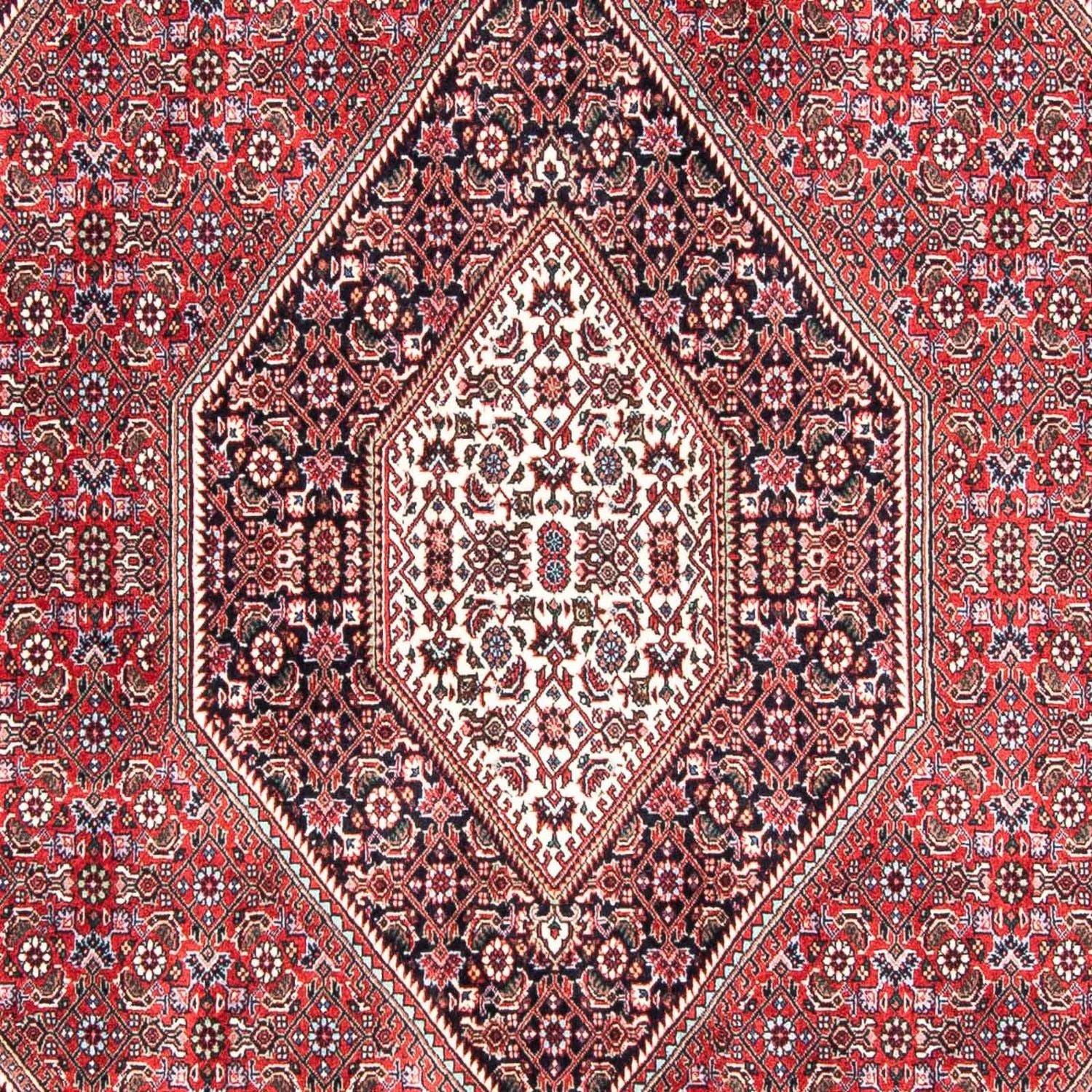 Persisk tæppe - Bijar - 237 x 168 cm - lysrød