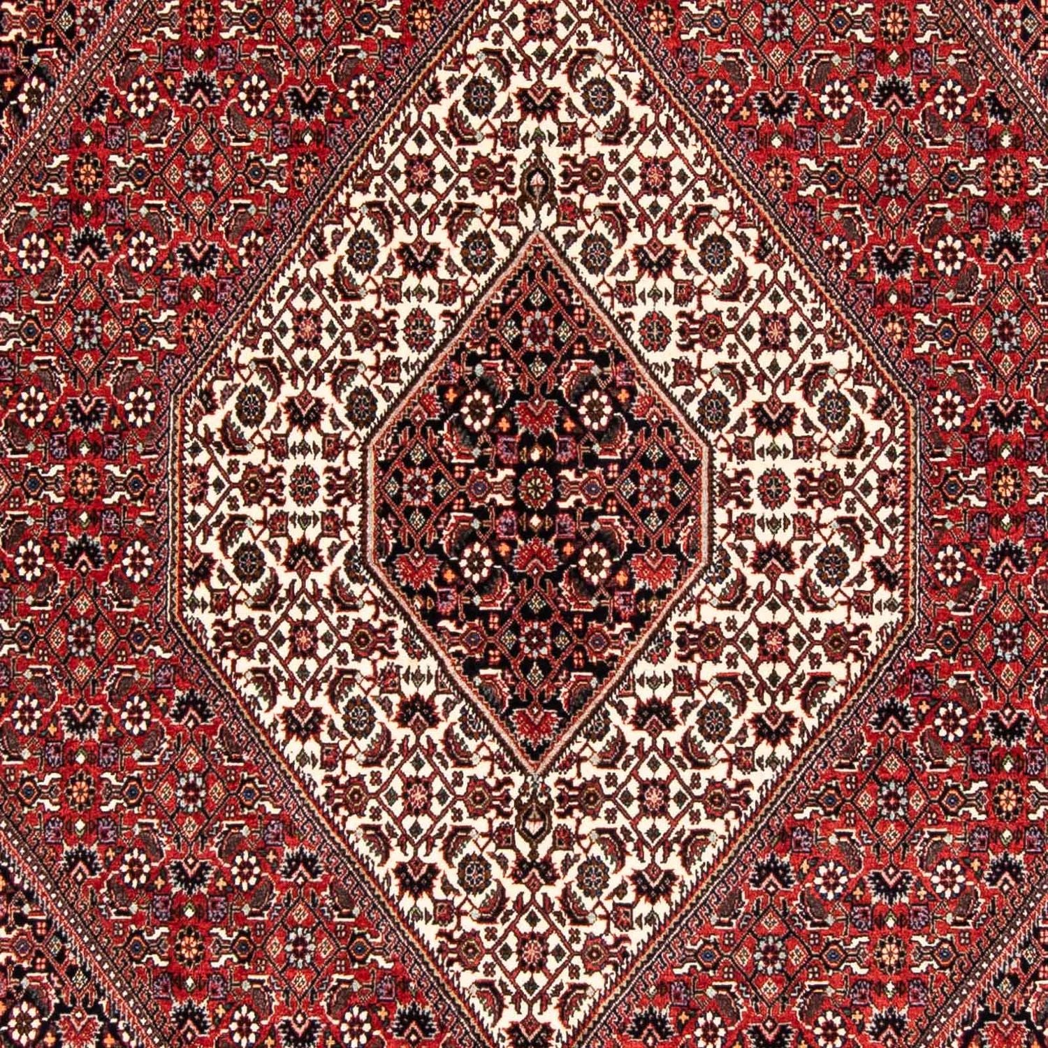 Persisk tæppe - Bijar - 243 x 170 cm - lysrød