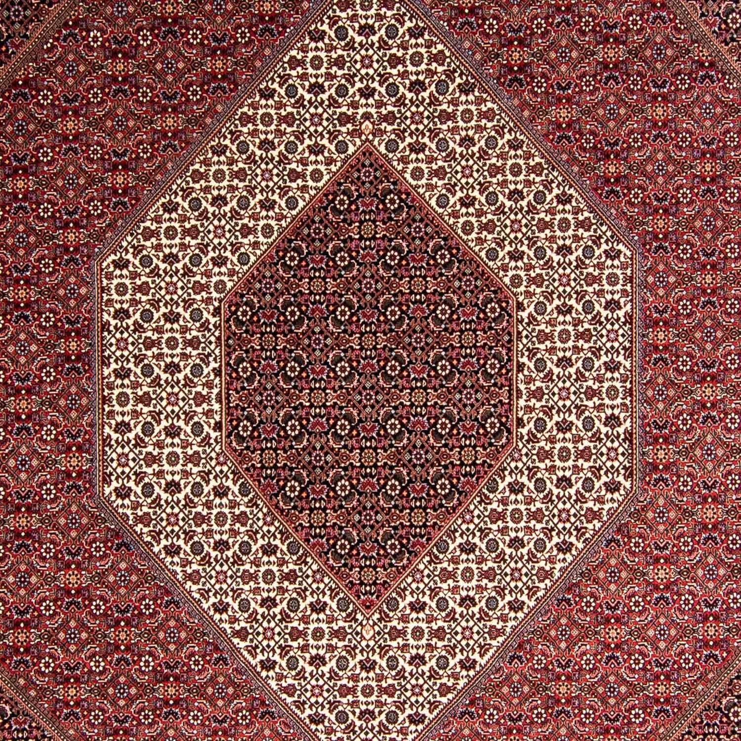 Persisk tæppe - Bijar - 354 x 248 cm - lysrød
